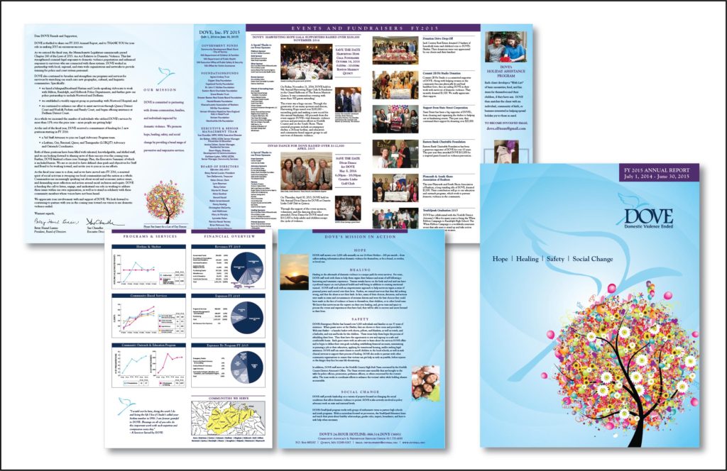 DOVE 2015 Annual Report